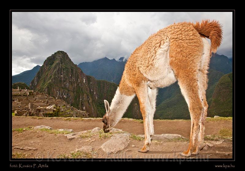 Machu Piccu 074.jpg